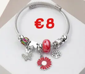 Roestvrij stalen armband met asymmetrische plating