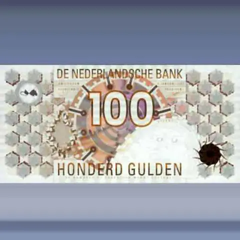 100 gulden Steenuil (1992)