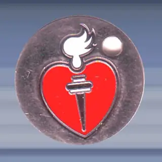 Nederlandse Hartstichting