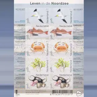 Leven in de Noordzee (2017)