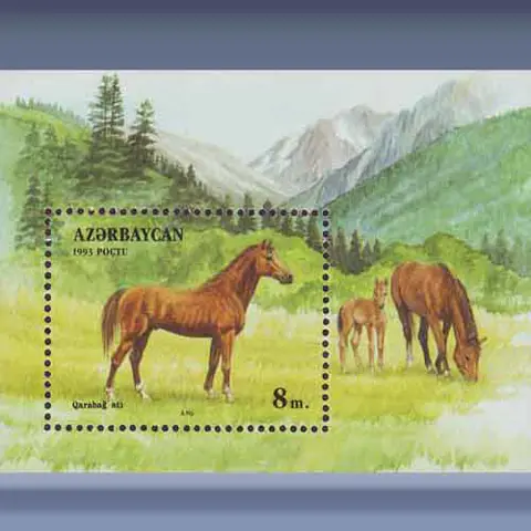 Paarden (1993)