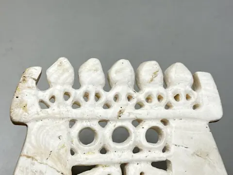 prachtig rijkdomobject - gefossiliseerde Tridacna - Salomonseilanden