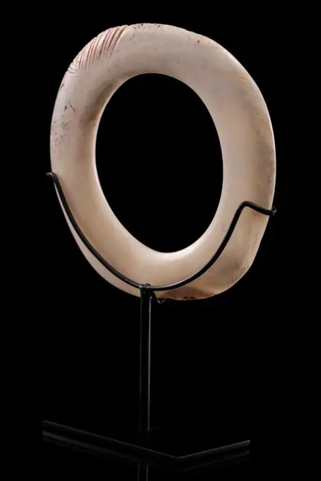 Schelpengeldring Yua Abelam - Maprik (1) - Schelp - Papoea-Nieuw-Guinea