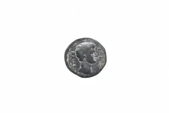 Lydia, Tripolis. Gaius (Caesar, 1 BC-AD 4). Æ pollonios, son of Androneikos, magistrate