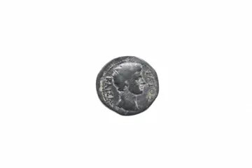 Lydia, Tripolis. Gaius (Caesar, 1 BC-AD 4). Æ pollonios, son of Androneikos, magistrate
