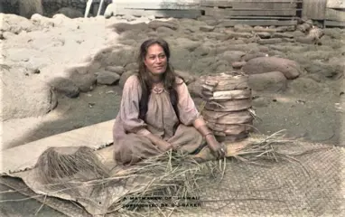 Weefrol (1) - pandanus - Kūkaʻa - Polynesië - Hawaii, USA