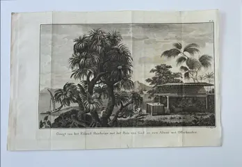 Prenten / etsen / gravures van J.S. Klauber (3) - Papier - Cook's Travels, Dutch edition, ca. 1797 - Polynesië