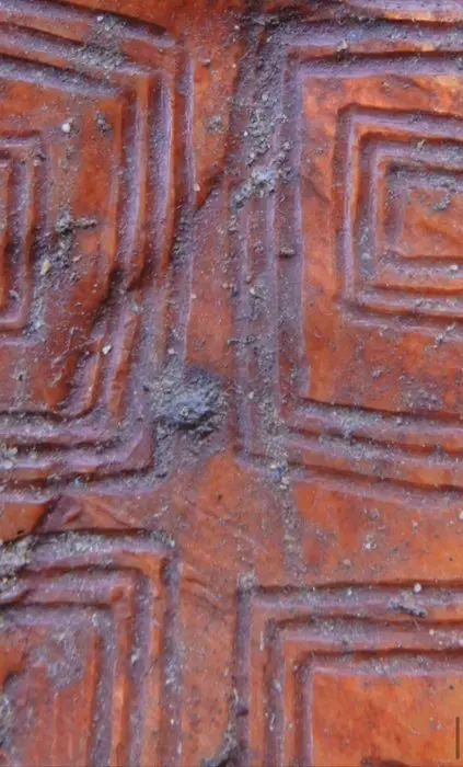 cache sexe (1) - Gefossiliseerde schelp - Lonka Lonka - Aboriginal - Australië