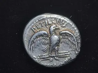 Romeinse Republiek. Petillius Capitolinus, 43 v.Chr.. AR Denarius,Rome