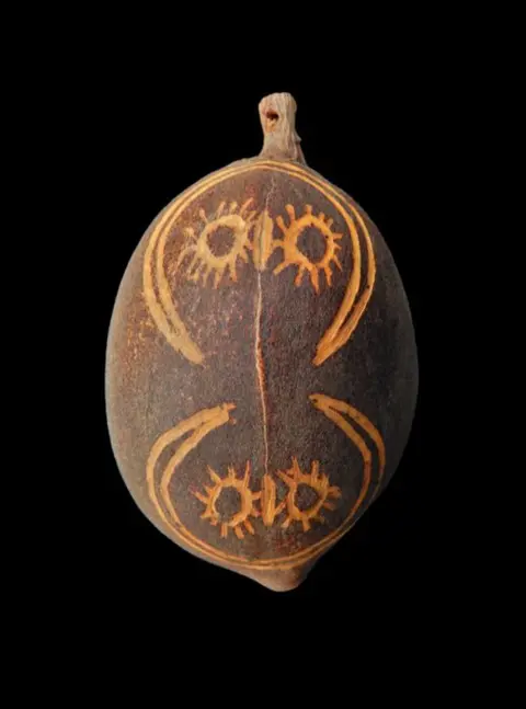 noot (1) - Kokosnootschil - Baobab Wandjina - Australië