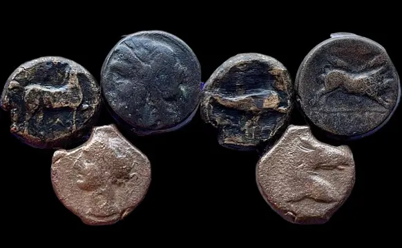 Griekenland (Magna Graecia), Apulia, Arpi e Salapia. Bruttium, Carthaginian Occupation. Lot x 3 Æ coins,3rd-2nd century BC