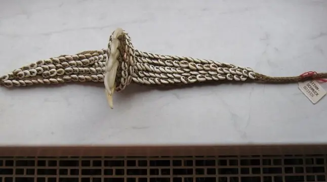 Hoofddeksel (1) - Nassa, Raffia, Tanden (dier), Zeeslak - Stirnband - morobe - Huon Gulf, Papua Nieuw-Guinea