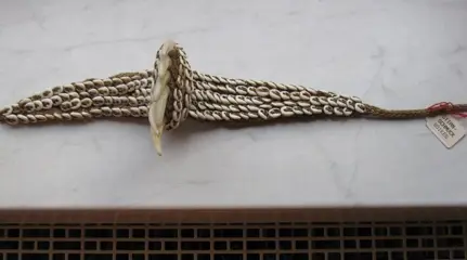 Hoofddeksel (1) - Nassa, Raffia, Tanden (dier), Zeeslak - Stirnband - morobe - Huon Gulf, Papua Nieuw-Guinea