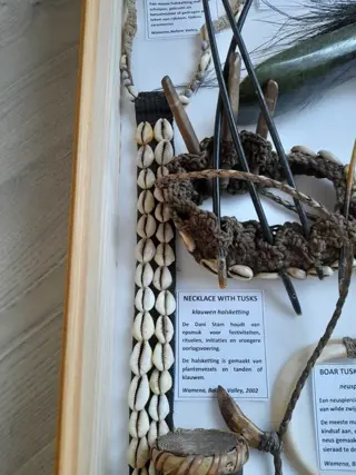 stropdas, bijl, hoofdtooi, ketting, trommel, peniskoker, ketting met klauwen. (7) - schelpen, stekelvarkenspennen, fijner, steen, klauwen, enz... - Dani-stam - Baliem, West-Papua