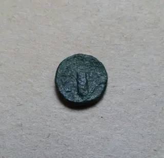 Lucania, Metapontion. Trittico di monete in bronzo,350-300 A.C.