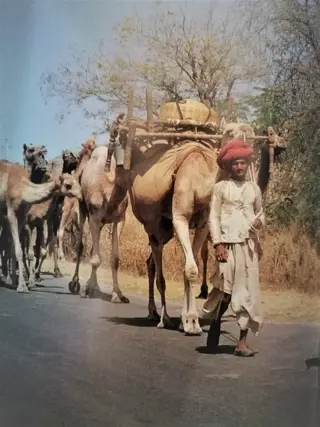 Boek (1) - Papier - Tweede helft 20e eeuw