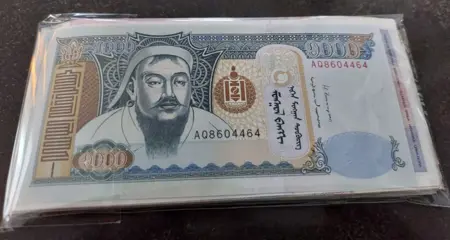 World - 1000 different banknotes