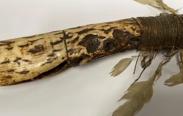 Dolk (1) - Been - Asmat - West-Papua (voormalig Irian Jaya)