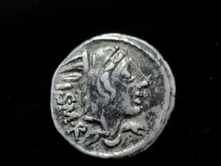 Romeinse Republiek. L. Thorius Balbus, 105 v.Chr.. AR Denarius,Rome