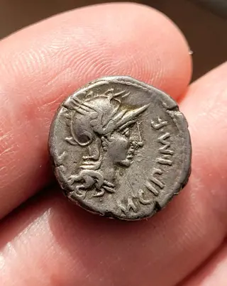 Romeinse Republiek. M. Cipius M.f., 115-114 v.Chr.. AR Denarius,Rome