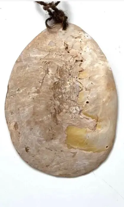 cache sexe (1) - Gefossiliseerde schelp - Guan, uncarved Lonka Lonka - Aboriginal - Australië