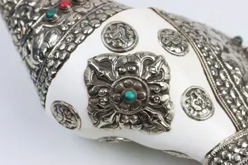 Bijzonder grote Conch trompet (50 cm). - Schelp / laag gehalte zilver - Nepal - late 20th/21st century