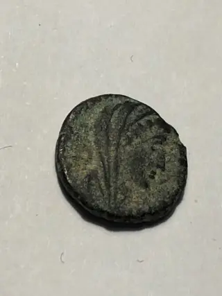 Romeinse Rijk. Divus Constantine I (+ AD 337). Lot of 5 bronzes,AD 337-340