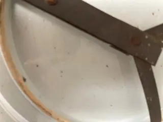 Bord (1) - Porselein - China - Qing Dynastie (1644-1911)