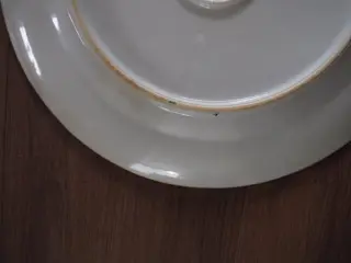 Famille rose charger - Porselein - China - Qing Dynastie (1644-1911)