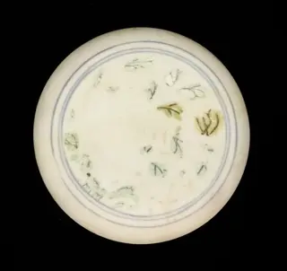 Doos gedecoreerd met witblauwe bloemmotieven - van Shripweck? - Porselein - Vietnam - Ming Dynastie (1368-1644)