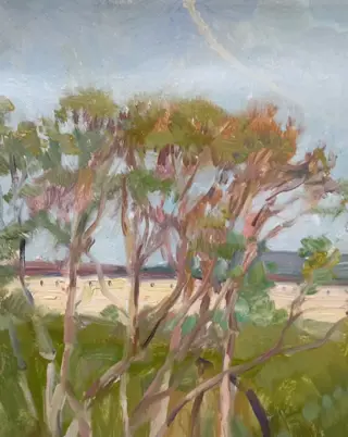 Julia Goryanaya (XXI) - Vue du monastère