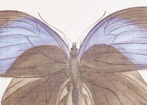 La Roche Laffitte (1943) - Papillon noir et bleu