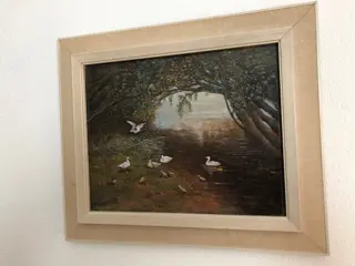 W.Brouwer - Eenden familie