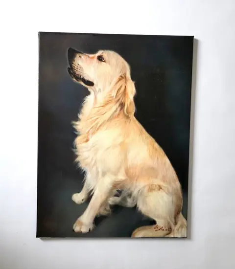 M. Solietin (XXI) - Hond - Golden Retriever