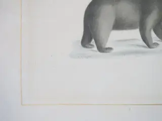 La Roche Laffitte (1943) - Ours noir