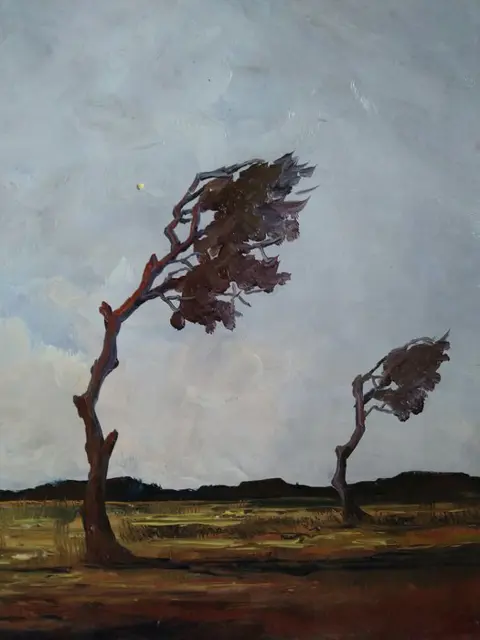 Leo Jordaens (1944 - 2000 ) - Op de heide