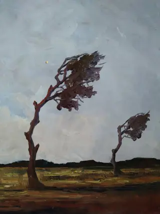 Leo Jordaens (1944 - 2000 ) - Op de heide