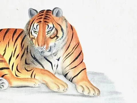 La Roche Laffite (1943) - Tigre