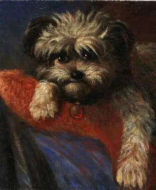 Hermann Kern (1838-1912) - Havaneser auf einem Divan