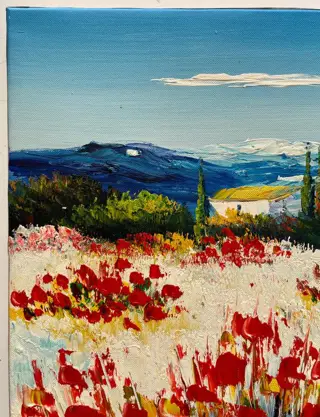 Touar - Mas aux Coquelicots