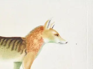 La Roche Laffitte (1943) - Chacal