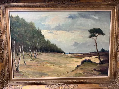 Frans Joaquin (XX) - Heide