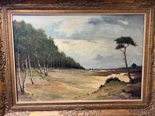 Frans Joaquin (XX) - Heide