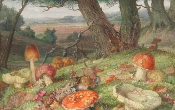 Jan de Boer (1877-1947) - Paddestoelen op de Veluwe