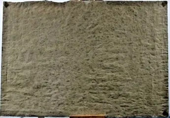 Deutsche Schule (XX) - Bauernhof