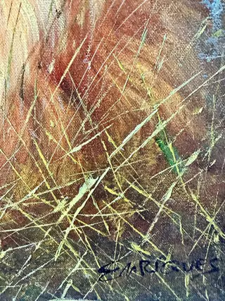 Enriques (XX ème siècle) - Le lion