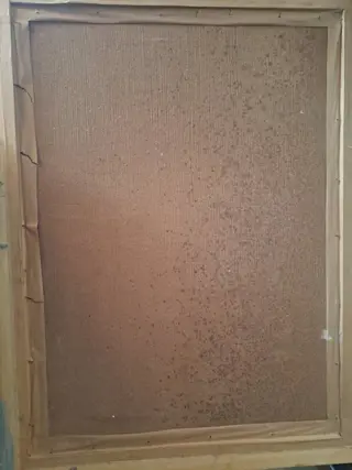 escuela europea - Paisaje