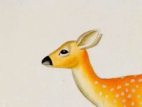 La Roche Laffitte (1943) - Daim