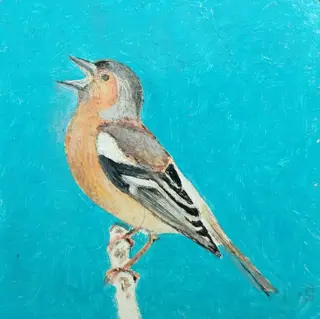 Anton van Bruggen (XX) - Koolmeesje en musje (2x)