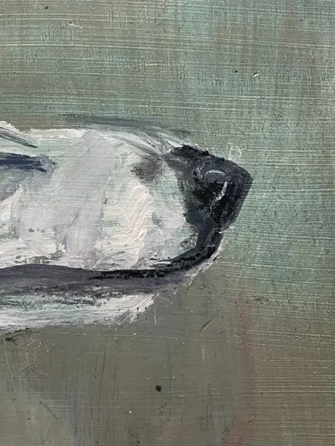 École Espagnole (XX) - Petit Levrier